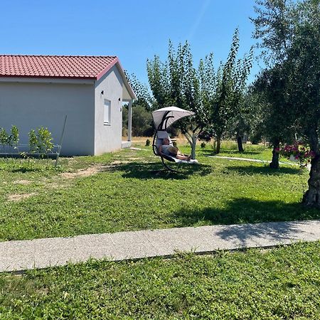 Ferienwohnung Ktima Mimoza Sykia Exterior foto