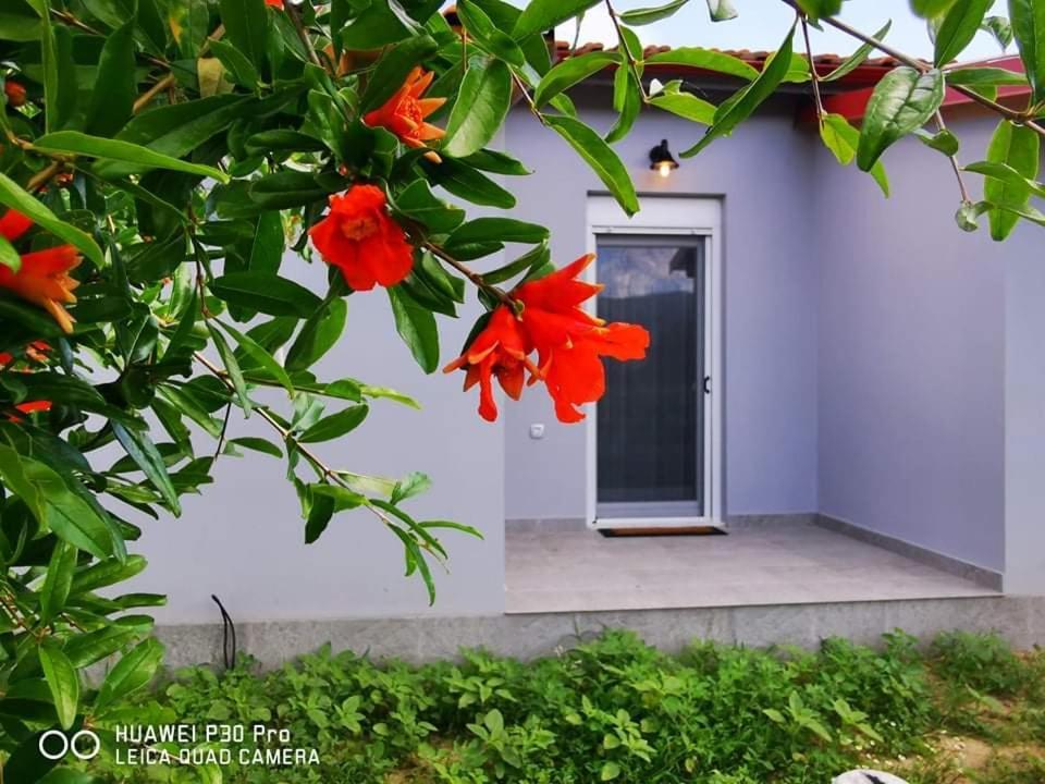 Ferienwohnung Ktima Mimoza Sykia Exterior foto