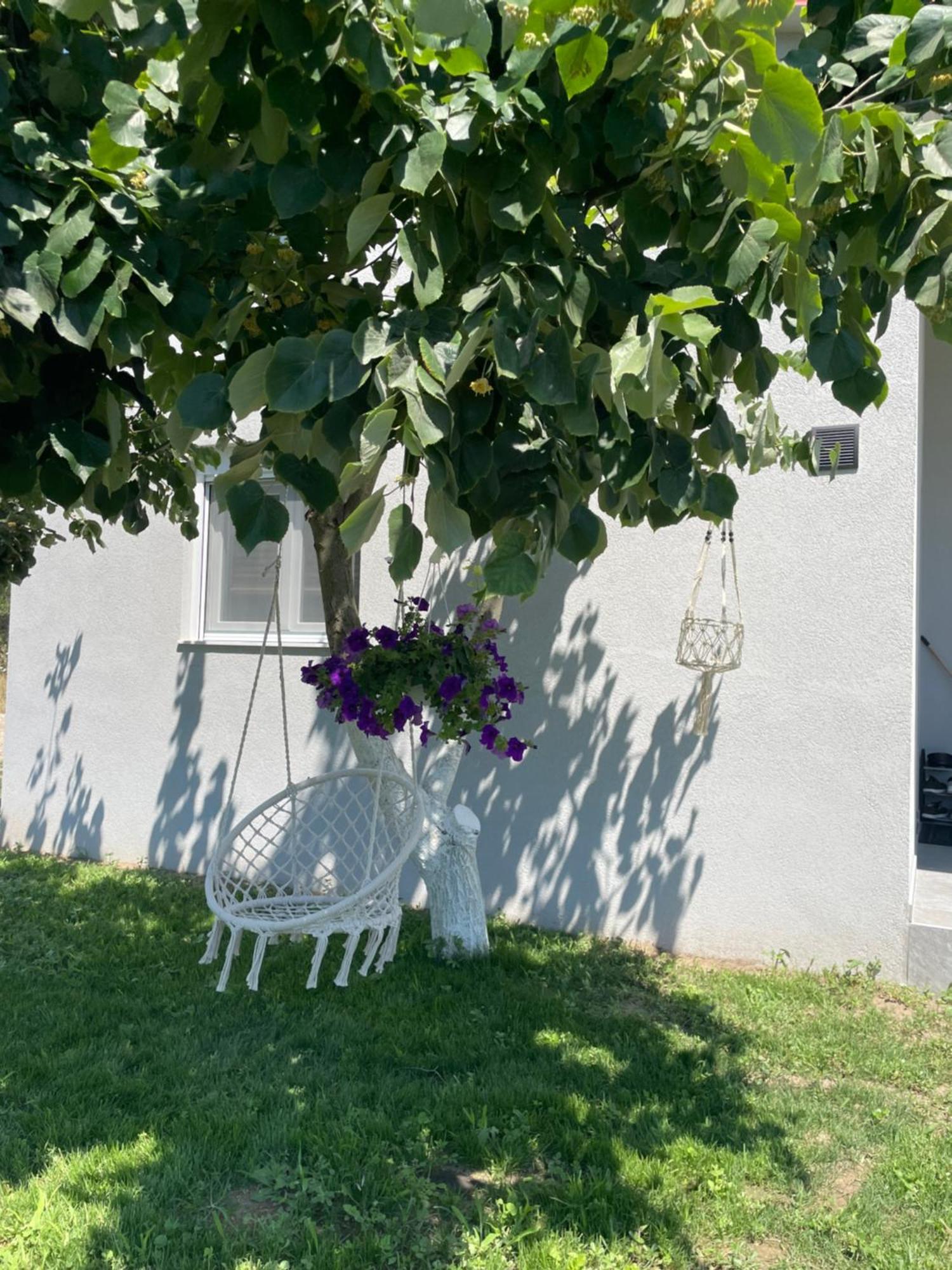 Ferienwohnung Ktima Mimoza Sykia Exterior foto